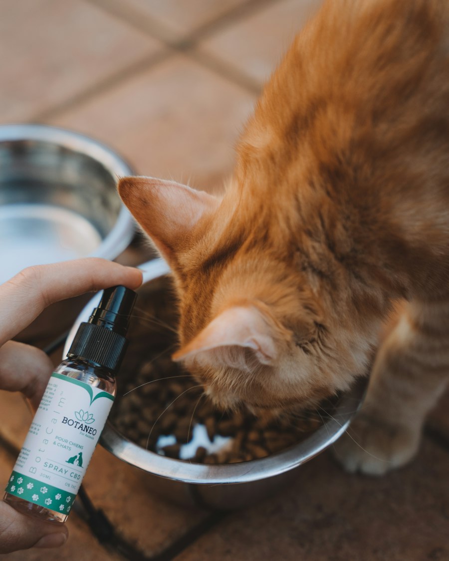 vape accessory